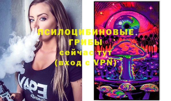 амф Абинск