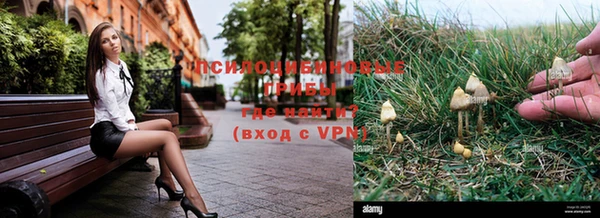 соль курить ск Алексеевка