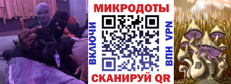Галлюциногенные грибы ЛСД  Староминская 